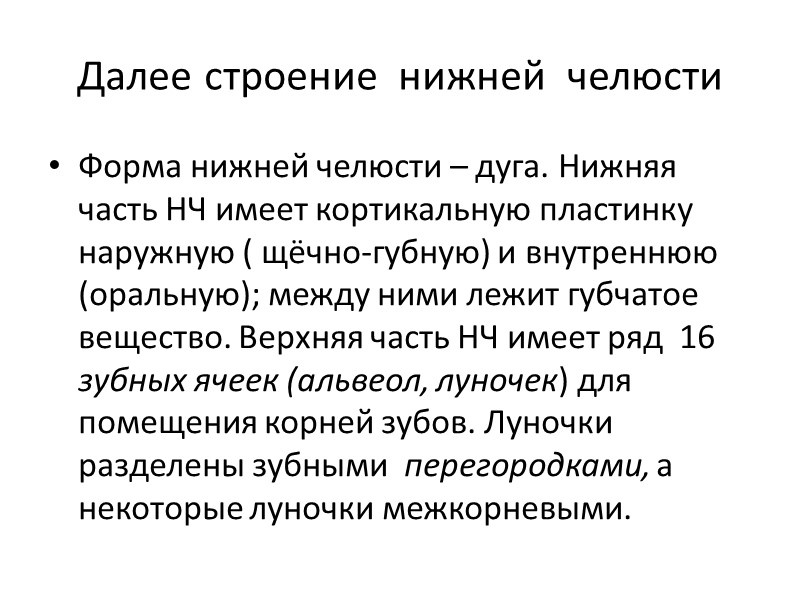 Далее строение  нижней  челюсти Форма нижней челюсти – дуга. Нижняя часть НЧ